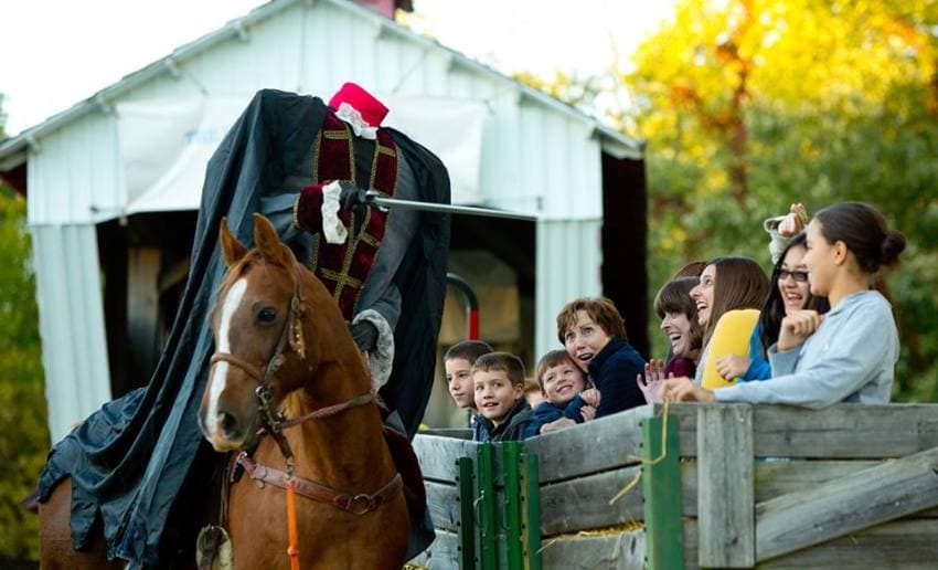 A costumed rider on a horse performs for an excited group of spectators. A costumed rider on a horse performs for an excited group of spectators.