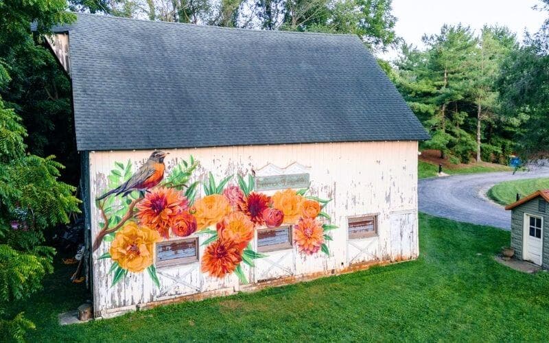 A colorful mural of flowers and a bird adorns the side of a rustic barn surrounded by greenery. A colorful mural of flowers and a bird adorns the side of a rustic barn surrounded by greenery.